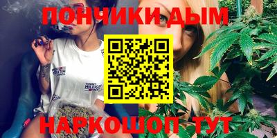 индика Ирбит