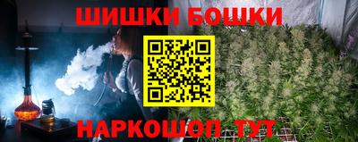 индика Ирбит