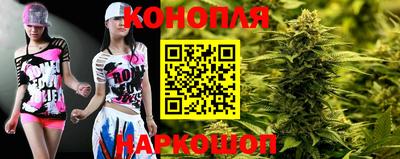 шишки Жуковский