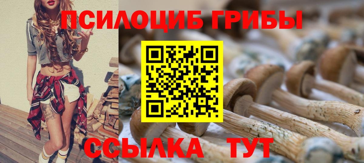 Псилоцибиновые грибы GOLDEN TEACHER Кумертау